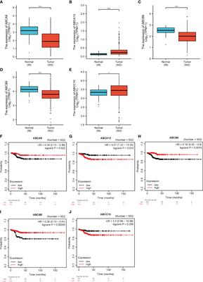 Identification and Validation of Prognostic Related Hallmark ATP-Binding Cassette Transporters Associated With Immune Cell Infiltration Patterns in Thyroid Carcinoma